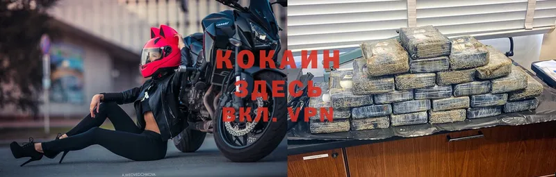 Cocaine Fish Scale  купить закладку  Алексин 